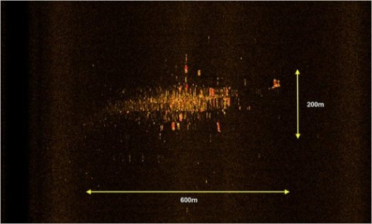 remus-sonar-image-of-AF447