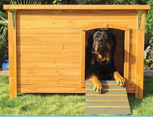 Dog-House