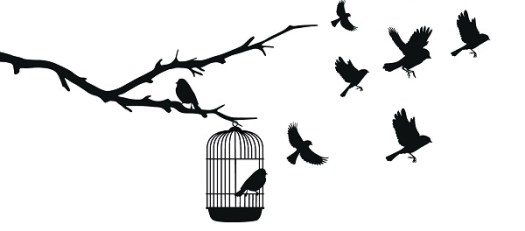 0-birds-out-cage