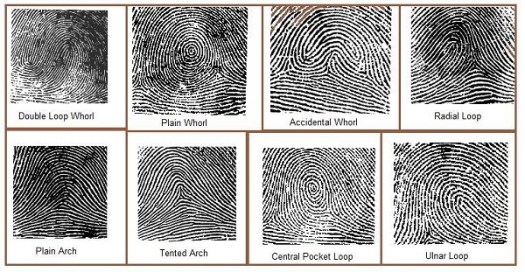 3-fingerprint-types